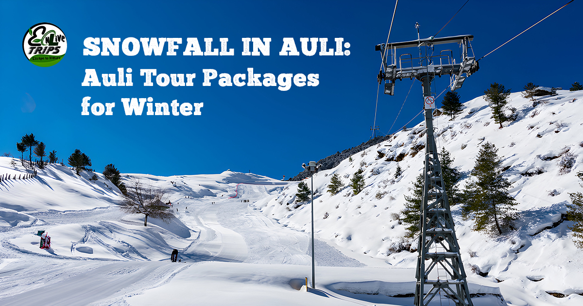 Snowfall in Auli: Auli Tour Packages for Winter Enthusiasts